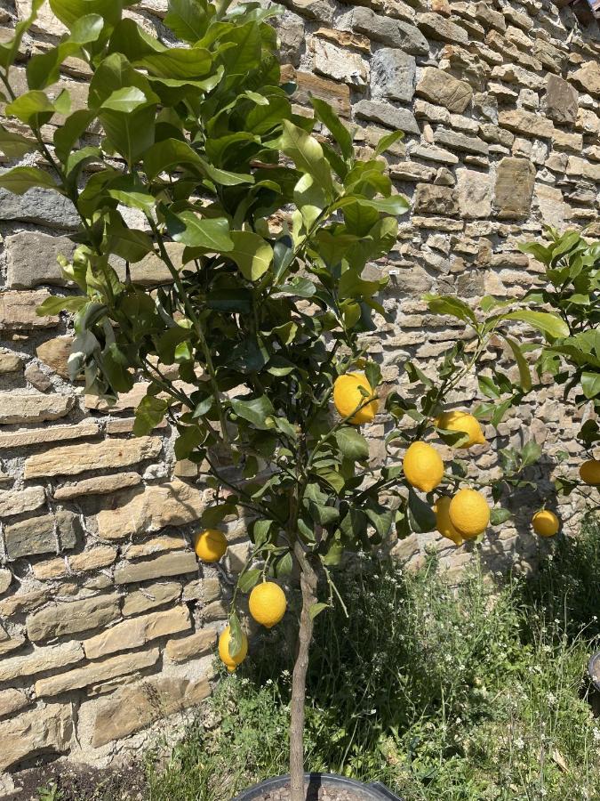 Foresteria Antica Bastia B&B Бергамо Екстериор снимка